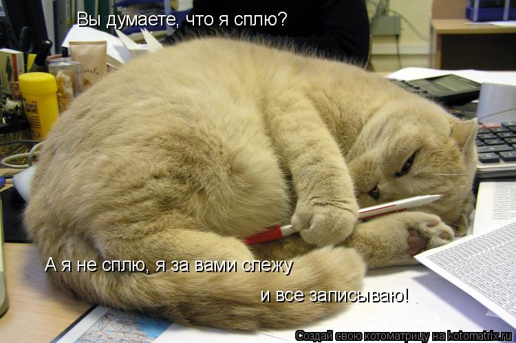 Вы думаете, что я сплю? А я не сплю, я за вами слежу и все записываю!... Котоматрица: Вы думаете, что я сплю? А я не сплю, я за вами слежу и все записываю!