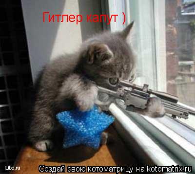 Гитлер капут )... Котоматрица: Гитлер капут )