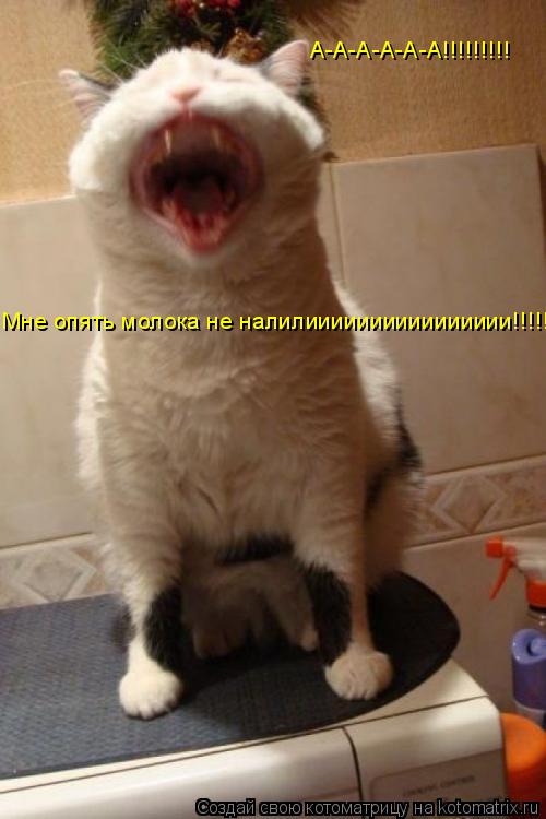 А-А-А-А-А-А!!!!!!!!! Мне опять молока не налилииииииииииииииии!!!!!... Котоматрица: А-А-А-А-А-А!!!!!!!!! Мне опять молока не налилииииииииииииииии!!!!!