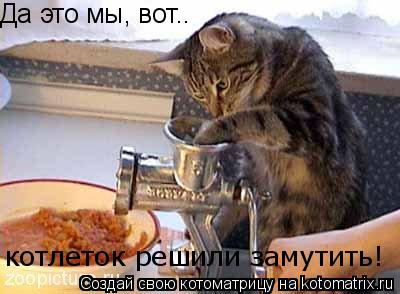 Да это мы, вот.. котлеток решили замутить!... Котоматрица: Да это мы, вот.. котлеток решили замутить!