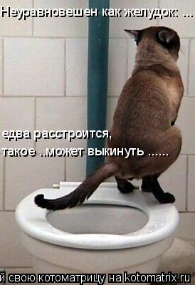 Неуравновешен как желудок: ... едва расстроится, такое ..может выкинуть ......... Котоматрица: Неуравновешен как желудок: ... едва расстроится, такое ..может выкинуть ......