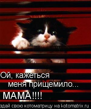 Ой, кажеться меня прищемило... МАМА!!!!... Котоматрица: Ой, кажеться меня прищемило... МАМА!!!!