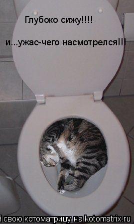 Глубоко сижу!!!! и...ужас-чего насмотрелся!!!... Котоматрица: Глубоко сижу!!!! и...ужас-чего насмотрелся!!!