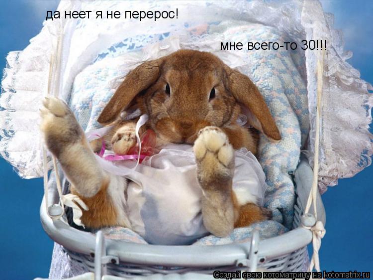 да неет я не перерос! мне всего-то 30!!!... Котоматрица: да неет я не перерос! мне всего-то 30!!!