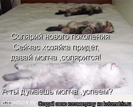 Солярий нового поколения. Сейчас хозяйка придёт, давай молча ,солярится! А ты думаешь молча ,успеем?... Котоматрица: Солярий нового поколения. Сейчас хозяйка придёт, давай молча ,солярится! А ты думаешь молча ,успеем?