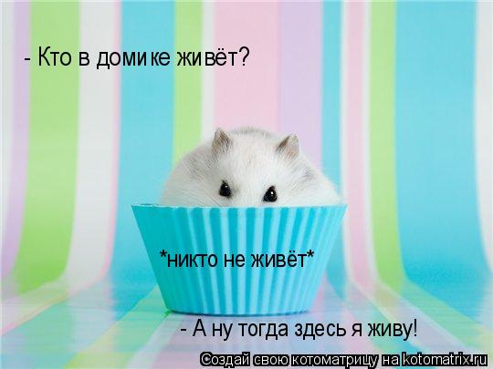 - Кто в домике живёт? *никто не живёт* - А ну тогда здесь я живу!... Котоматрица: - Кто в домике живёт? *никто не живёт* - А ну тогда здесь я живу!