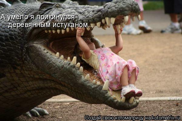 деревянным истуканом... А умело я прикинулся... Котоматрица: деревянным истуканом... А умело я прикинулся