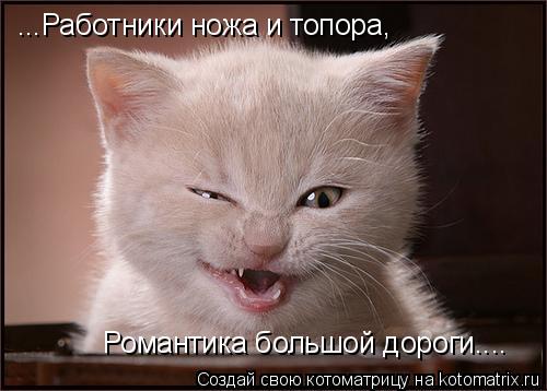 ...Работники ножа и топора, Романтика большой дороги....... Котоматрица: ...Работники ножа и топора, Романтика большой дороги....