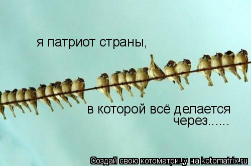 я патриот страны, в которой всё делается через......... Котоматрица: я патриот страны, в которой всё делается через......
