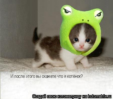 И после этого вы скажете что я котёнок?... Котоматрица: И после этого вы скажете что я котёнок?