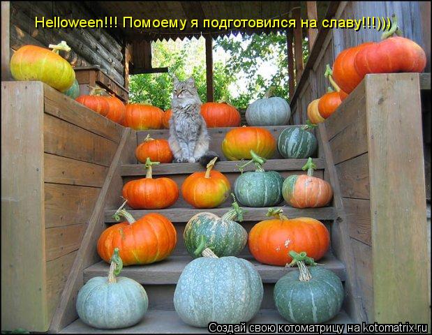 Котоматрица: Helloween!!! Помоему я подготовился на славу!!!)))