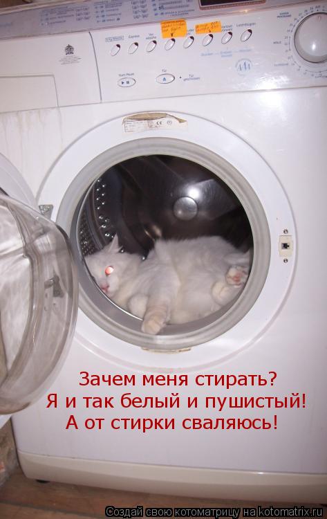 Зачем меня стирать? Я и так белый и пушистый! А от стирки сваляюсь!... Котоматрица: Зачем меня стирать? Я и так белый и пушистый! А от стирки сваляюсь!