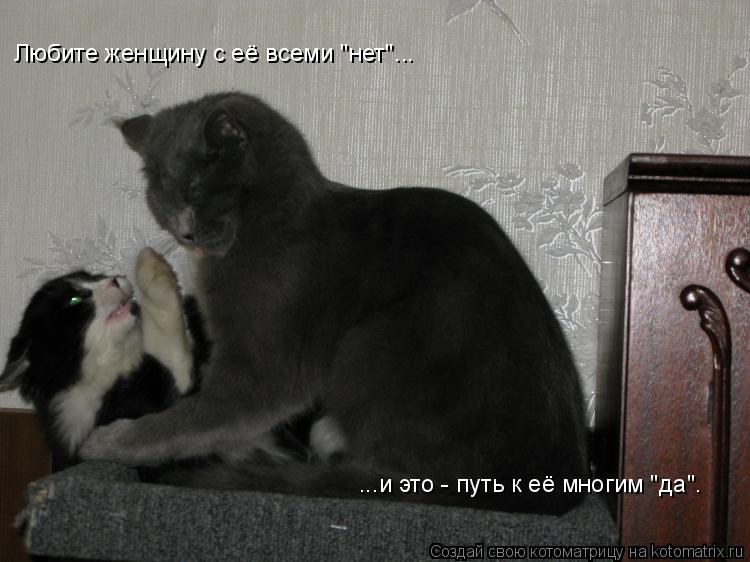 Любите женщину с её всеми "нет"... ...и это - путь к её многим "да".... Котоматрица: Любите женщину с её всеми "нет"... ...и это - путь к её многим "да".