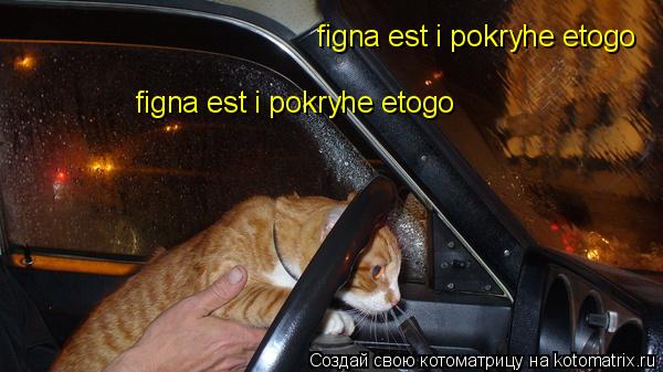 figna est i pokryhe etogo figna est i pokryhe etogo... Котоматрица: figna est i pokryhe etogo figna est i pokryhe etogo