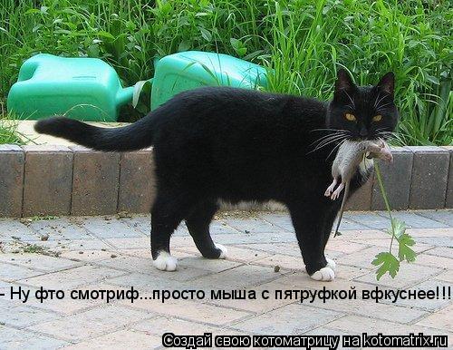 - Ну фто смотриф...просто мыша с пятруфкой вфкуснее!!!... Котоматрица: - Ну фто смотриф...просто мыша с пятруфкой вфкуснее!!!