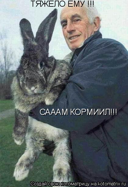 ТЯЖЕЛО ЕМУ !!! САААМ КОРМИИЛ!!!... Котоматрица: ТЯЖЕЛО ЕМУ !!! САААМ КОРМИИЛ!!!