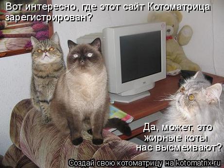 Вот интересно, где этот сайт Котоматрица зарегистрирован? Да, может, это жирные коты нас высмеивают?... Котоматрица: Вот интересно, где этот сайт Котоматрица зарегистрирован? Да, может, это жирные коты нас высмеивают?