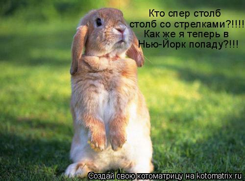 Кто спер столб столб со стрелками?!!!! Как же я теперь в Нью-Йорк попаду?!!!... Котоматрица: Кто спер столб столб со стрелками?!!!! Как же я теперь в Нью-Йорк попаду?!!!