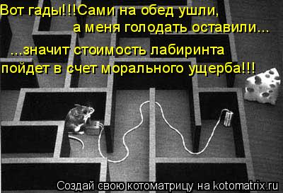Вот гады!!!Сами на обед ушли, а меня голодать оставили... ...значит стоимость лабиринта пойдет в сч... Котоматрица: Вот гады!!!Сами на обед ушли, а меня голодать оставили... ...значит стоимость лабиринта пойдет в счет морального ущерба!!!