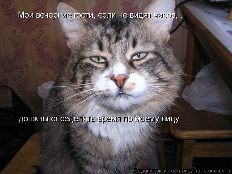 Мои вечерние гости, если не видят часов, . должны определять время по моему лицу... Котоматрица: Мои вечерние гости, если не видят часов, . должны определять время по моему лицу