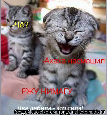 РЖУ НИМАГУ -Ахаха насмешил -Чё?... Котоматрица: РЖУ НИМАГУ -Ахаха насмешил -Чё?