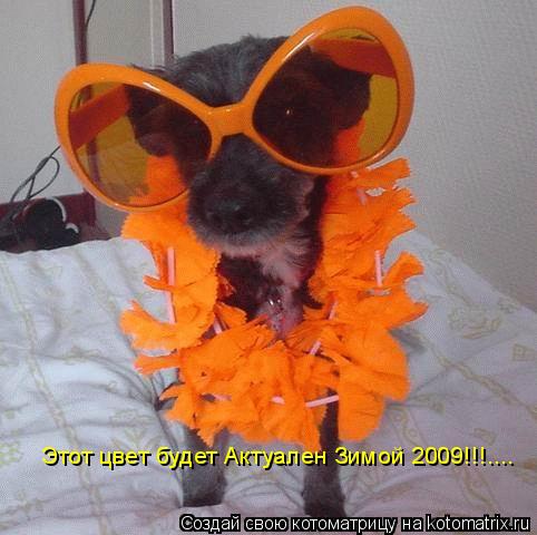 Котоматрица: Этот цвет будет Актуален Зимой 2009!!!....