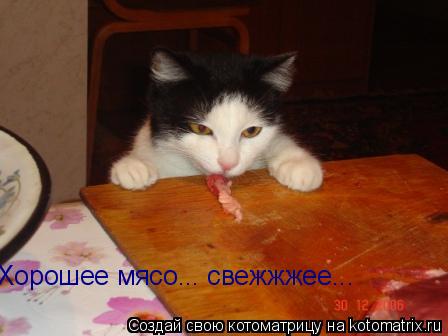 Хорошее мясо... свежжжее...... Котоматрица: Хорошее мясо... свежжжее...