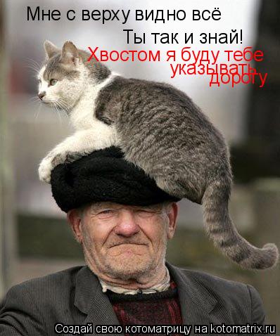 Котоматрица: Мне с верху видно всё  Ты так и знай! Хвостом я буду тебе  указывать дорогу