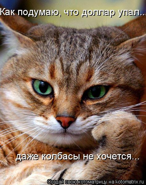 Как подумаю, что доллар упал... даже колбасы не хочется...... Котоматрица: Как подумаю, что доллар упал... даже колбасы не хочется...