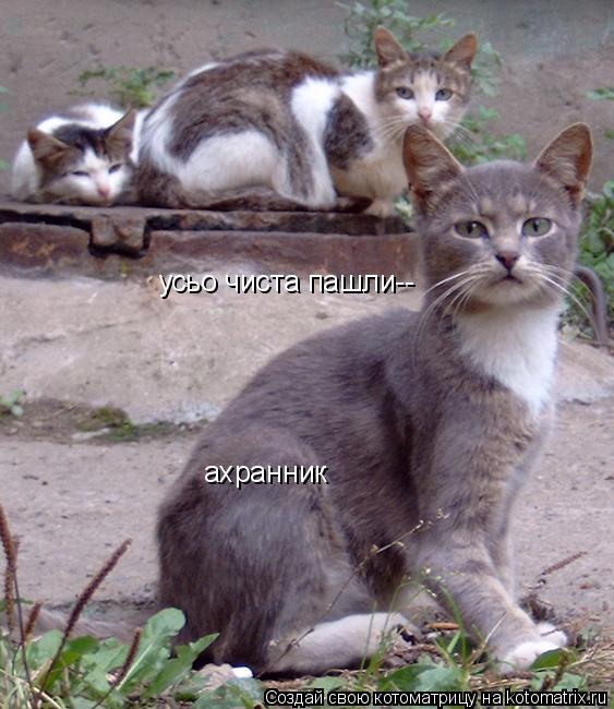 ахранник усьо чиста пашли--... Котоматрица: ахранник усьо чиста пашли--