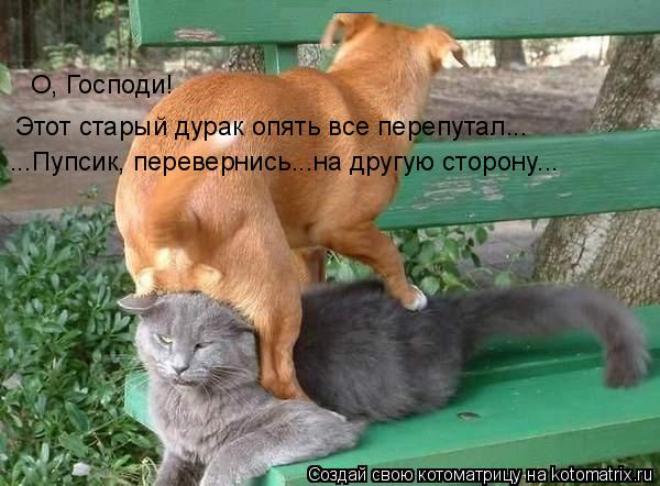 О, Господи! Этот старый дурак опять все перепутал... ...Пупсик, перевернись...на другую сторону...... Котоматрица: О, Господи! Этот старый дурак опять все перепутал... ...Пупсик, перевернись...на другую сторону...