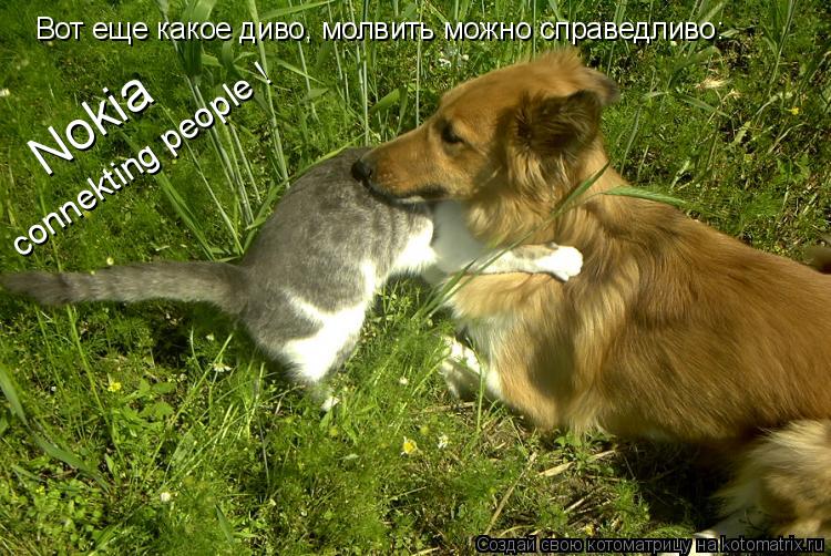 Вот еще какое диво, молвить можно справедливо: Nokia connekting people !... Котоматрица: Вот еще какое диво, молвить можно справедливо: Nokia connekting people !