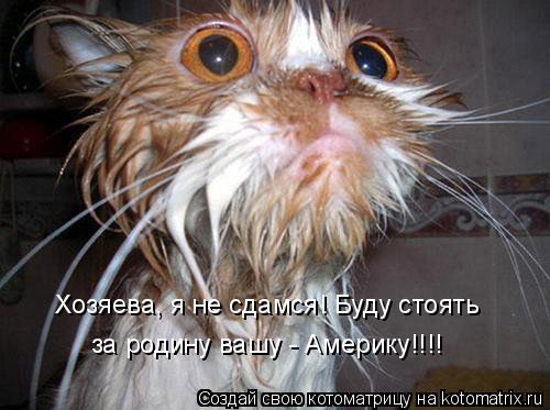 Хозяева, я не сдамся! Буду стоять за родину вашу - Америку!!!!... Котоматрица: Хозяева, я не сдамся! Буду стоять за родину вашу - Америку!!!!