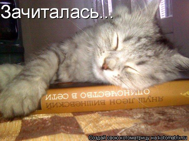 Зачиталась...... Котоматрица: Зачиталась...
