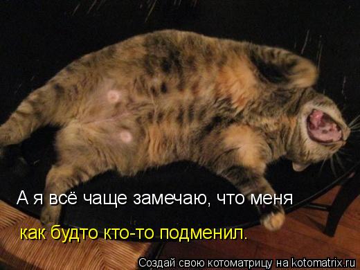 Котоматрица: А я всё чаще замечаю, что меня  как будто кто-то подменил.