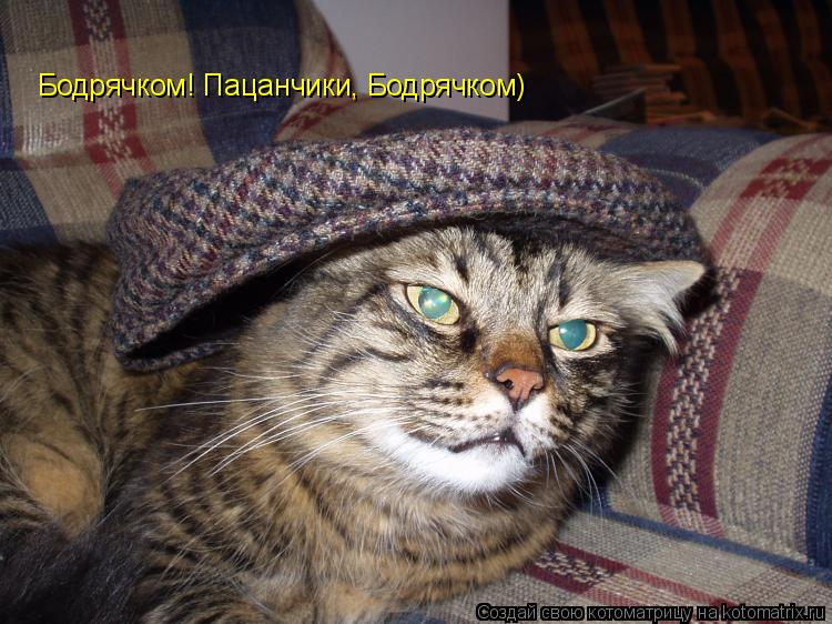 Бодрячком! Пацанчики, Бодрячком)... Котоматрица: Бодрячком! Пацанчики, Бодрячком)