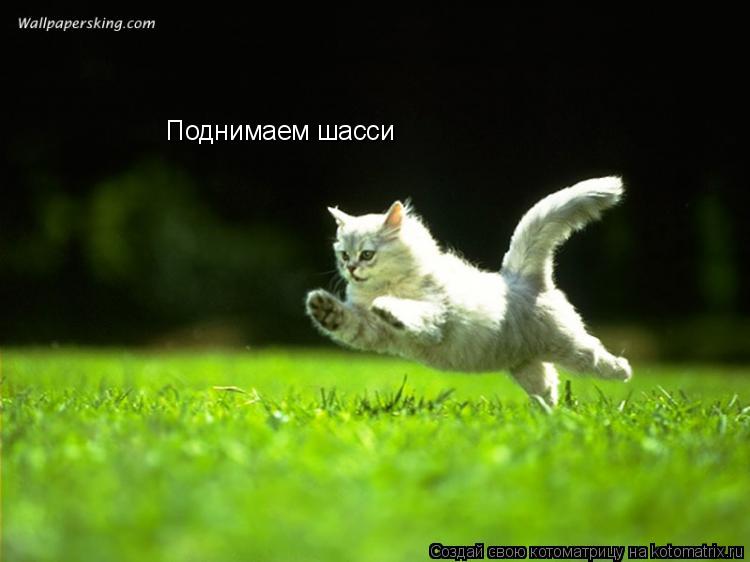 Поднимаем шасси... Котоматрица: Поднимаем шасси