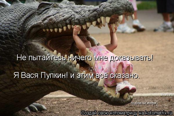Не пытайтесь ничего мне доказывать! Я Вася Пупкин! и этим всё сказано. подпись(жюри)... Котоматрица: Не пытайтесь ничего мне доказывать! Я Вася Пупкин! и этим всё сказано. подпись(жюри)