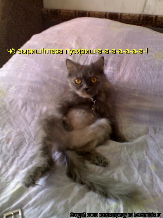 чё зыриш!глаза пузириш!а-а-а-а-а-а-а-! чё зыриш!глаза пузириш!а-а-а-а-а-а-а-!... Котоматрица: чё зыриш!глаза пузириш!а-а-а-а-а-а-а-! чё зыриш!глаза пузириш!а-а-а-а-а-а-а-!
