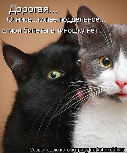 Дорогая... Очнись...колье поддельное... а мои билеты в киношку нет...... Котоматрица: Дорогая... Очнись...колье поддельное... а мои билеты в киношку нет...