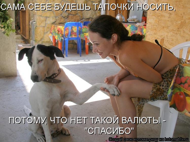САМА СЕБЕ БУДЕШЬ ТАПОЧКИ НОСИТЬ, ПОТОМУ, ЧТО НЕТ ТАКОЙ ВАЛЮТЫ - "СПАСИБО"... Котоматрица: САМА СЕБЕ БУДЕШЬ ТАПОЧКИ НОСИТЬ, ПОТОМУ, ЧТО НЕТ ТАКОЙ ВАЛЮТЫ - "СПАСИБО"