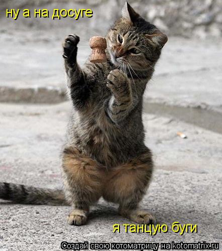 ну а на досуге я танцую буги... Котоматрица: ну а на досуге я танцую буги