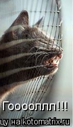 Гооооллл!!!... Котоматрица: Гооооллл!!!