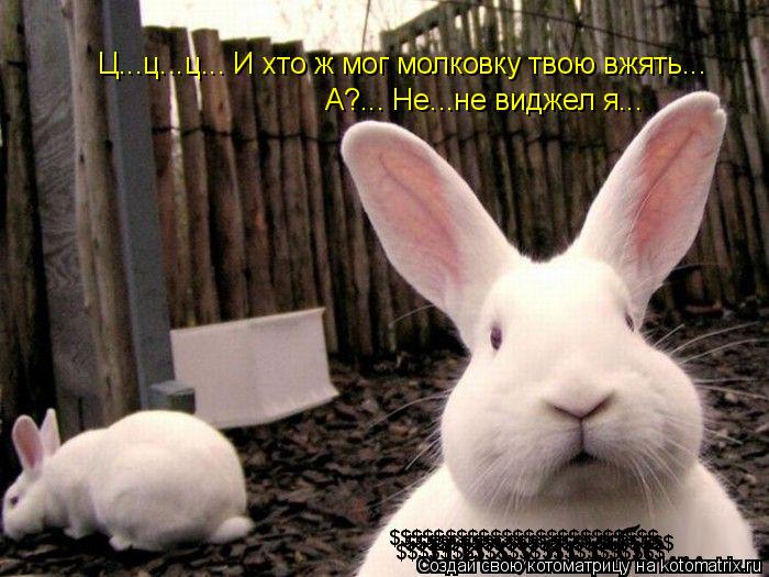 Котоматрица: Ц...ц...ц... И хто ж мог молковку твою вжять... А?... Не...не виджел я... $$$$$$$$$$$$$$$$$$$$$$$$ $$$$$$$$$$$$$$$$$$$$$$$$ $$$$$$$$$$$$$$$$$$$$$$$$