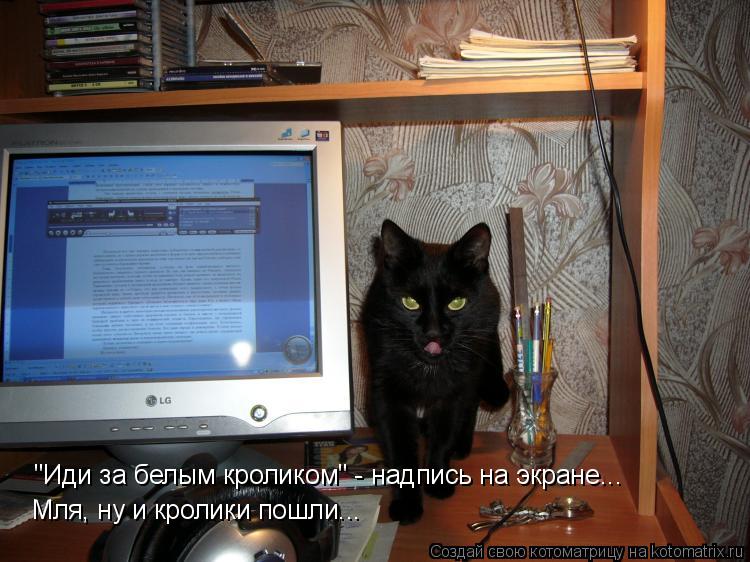 Котоматрица: "Иди за белым кроликом" - надпись на экране... Мля, ну и кролики пошли...