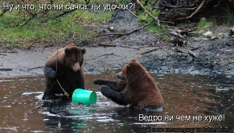 Ну и что, что ни сачка, ни удочки?! Ведро ни чем не хуже!... Котоматрица: Ну и что, что ни сачка, ни удочки?! Ведро ни чем не хуже!