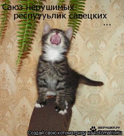 Саюз нерушимых респуууьлик савецких ...... Котоматрица: Саюз нерушимых респуууьлик савецких ...