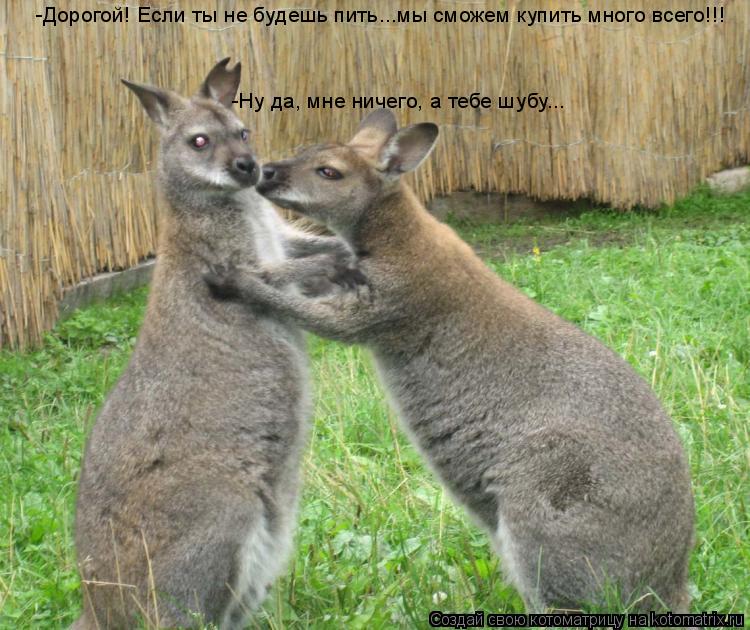 Котоматрица: -Дорогой! Если ты не будешь пить...мы сможем купить много всего!!! -Ну да, мне ничего, а тебе шубу...