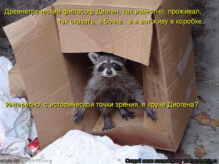 Древнегреческий философ Диоген, как известно, проживал, так сказать, в бочке.. а я вот живу в коробке... Котоматрица: Древнегреческий философ Диоген, как известно, проживал, так сказать, в бочке.. а я вот живу в коробке.. Интересно, с исторической точки зрения