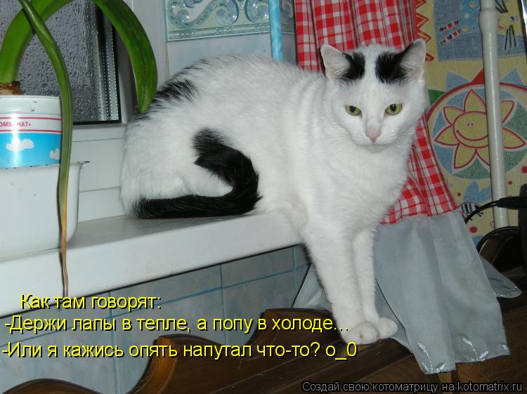 Как там говорят: -Держи лапы в тепле, а попу в холоде... -Или я кажись опять напутал что-то? о_0... Котоматрица: Как там говорят: -Держи лапы в тепле, а попу в холоде... -Или я кажись опять напутал что-то? о_0